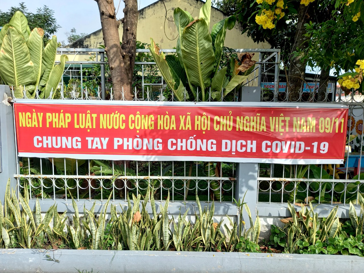 Băng Rôn Ngay Phap Luat Trường TH LTHG Copy