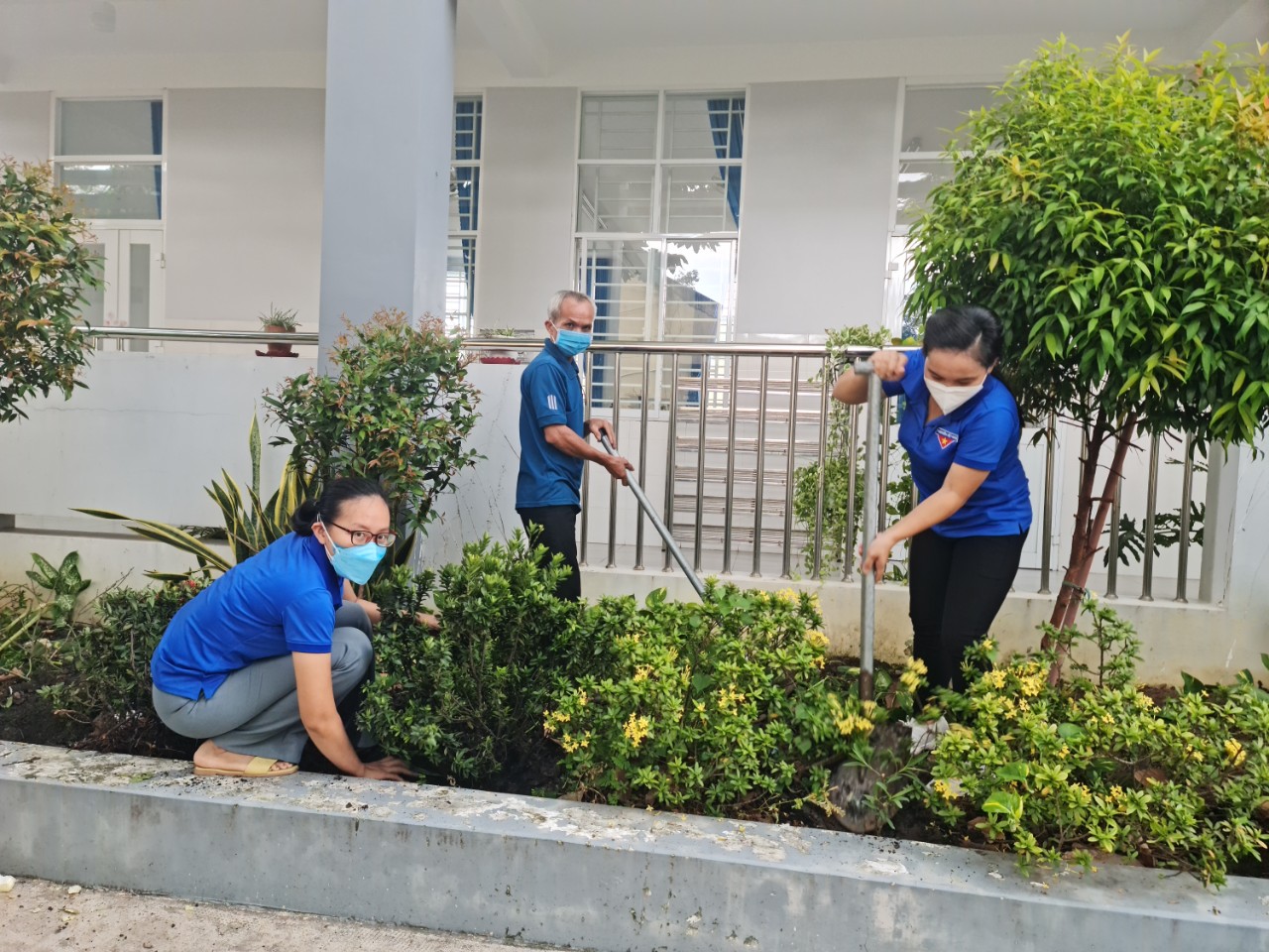 Ngay PL trồng cây 1